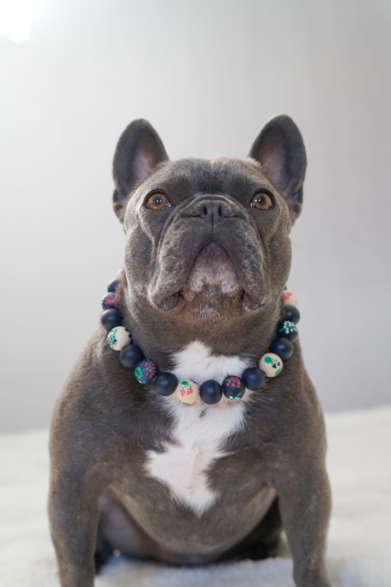 Berries autumn necklace collar