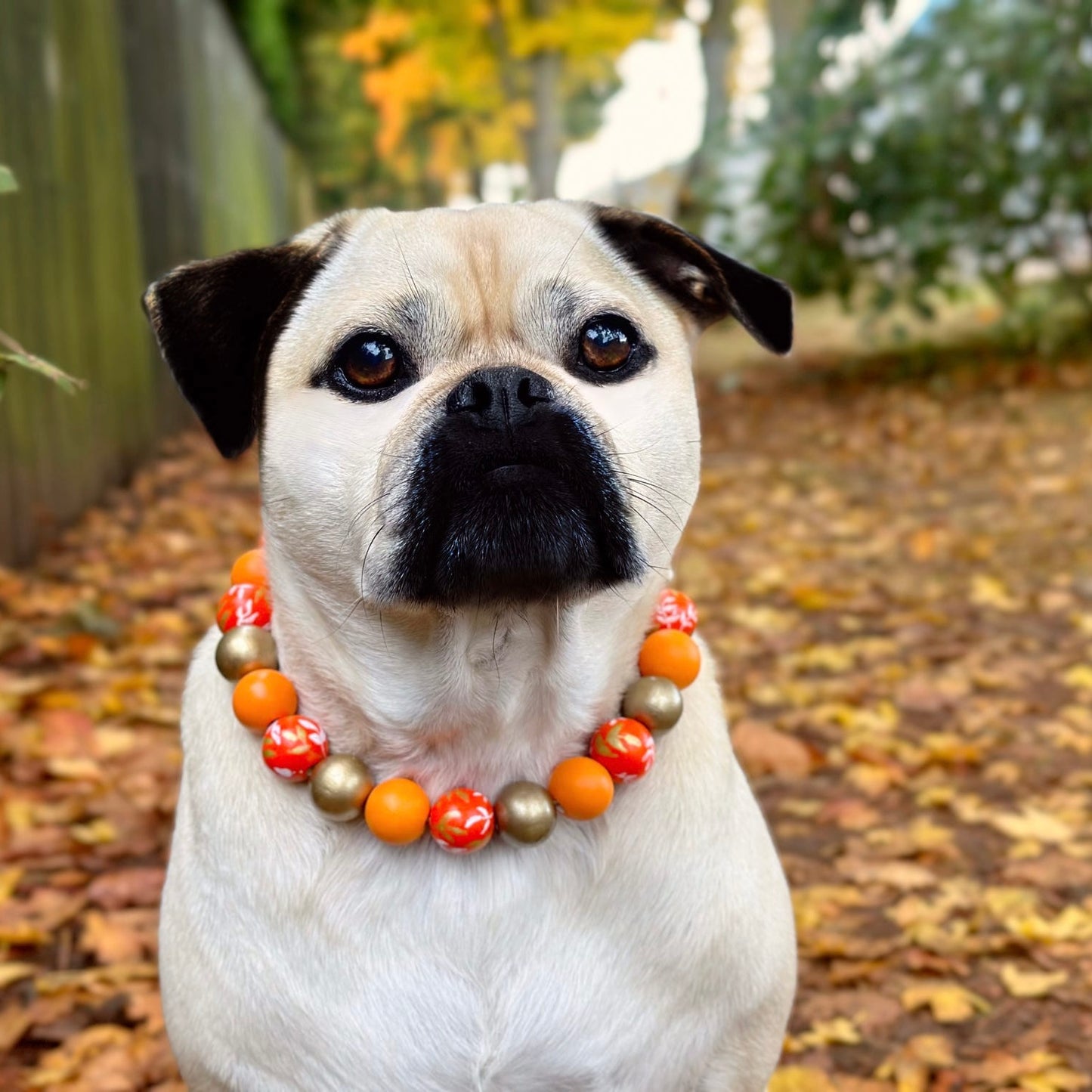 Fields of gold autumn dog collar necklace