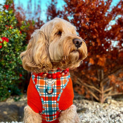 Shades of Fall autumn necklace collar