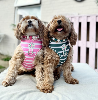 Khaki stripes dog collar necklace