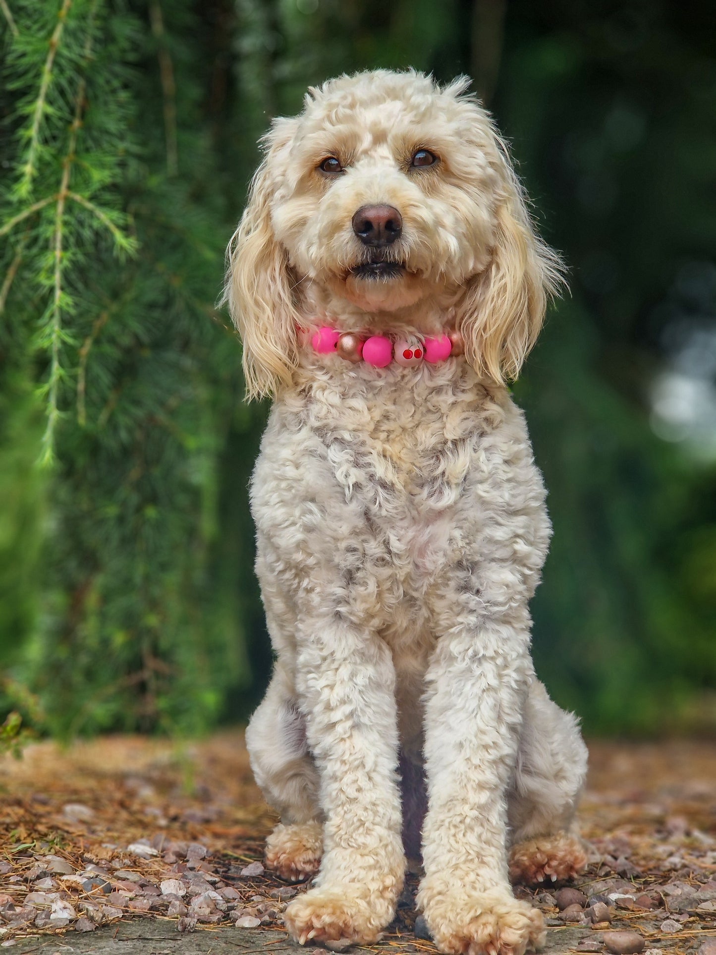 Bakewell spritz cherry dog collar necklace