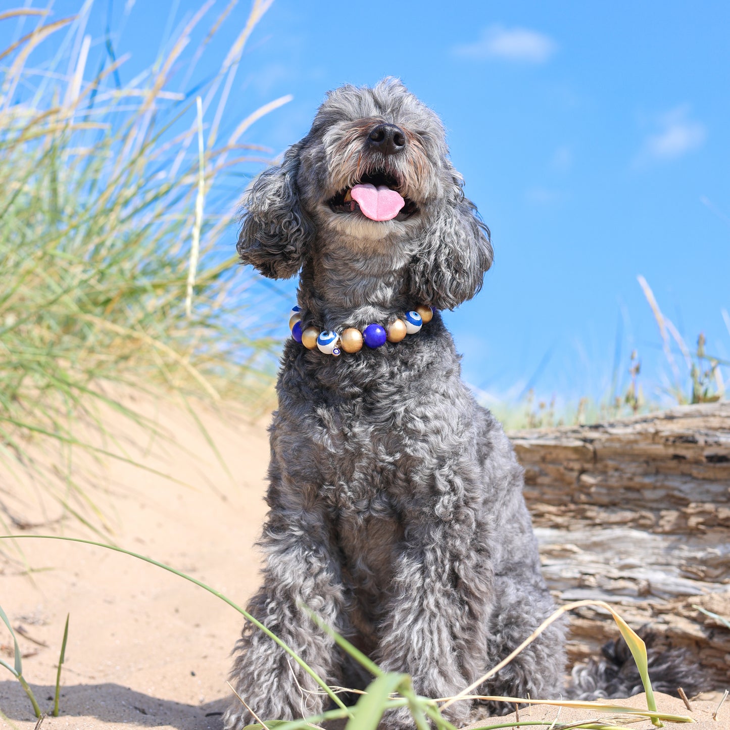 Mykonos dog collar necklace