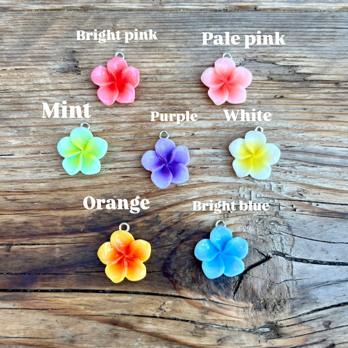 Fiji charms