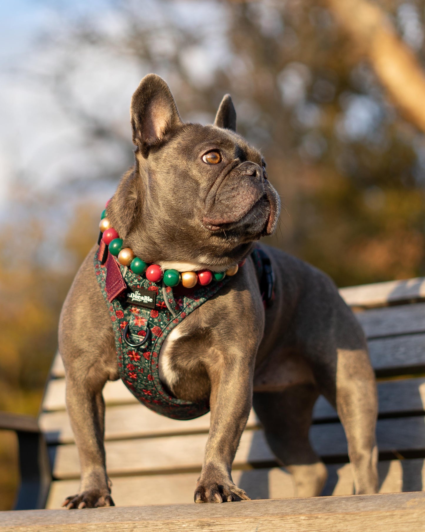 Christmas plain colour custom