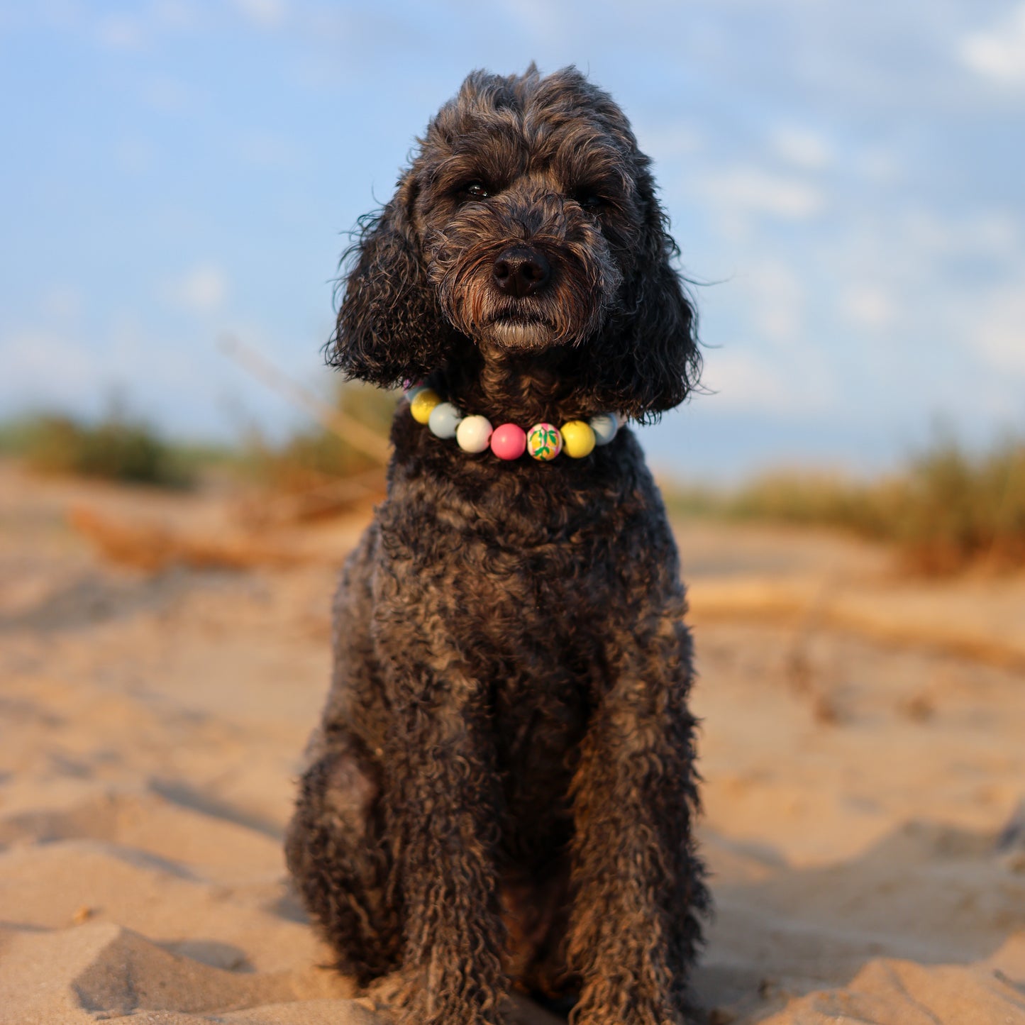 Amalfi dog collar necklace