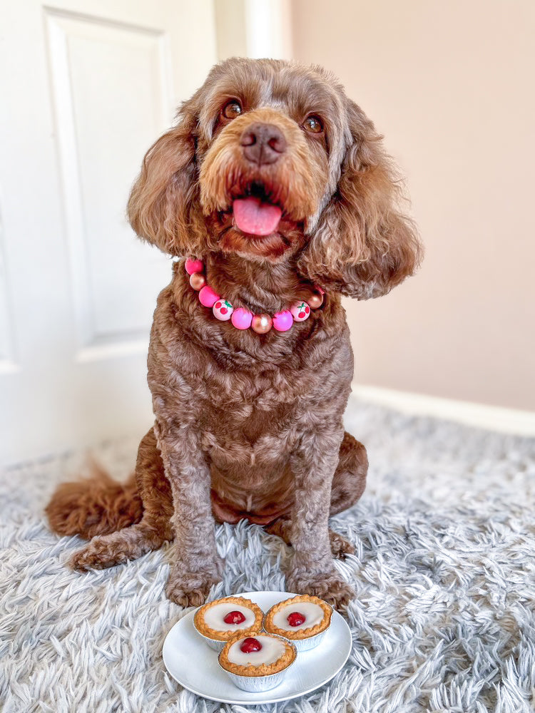 Bakewell spritz cherry dog collar necklace