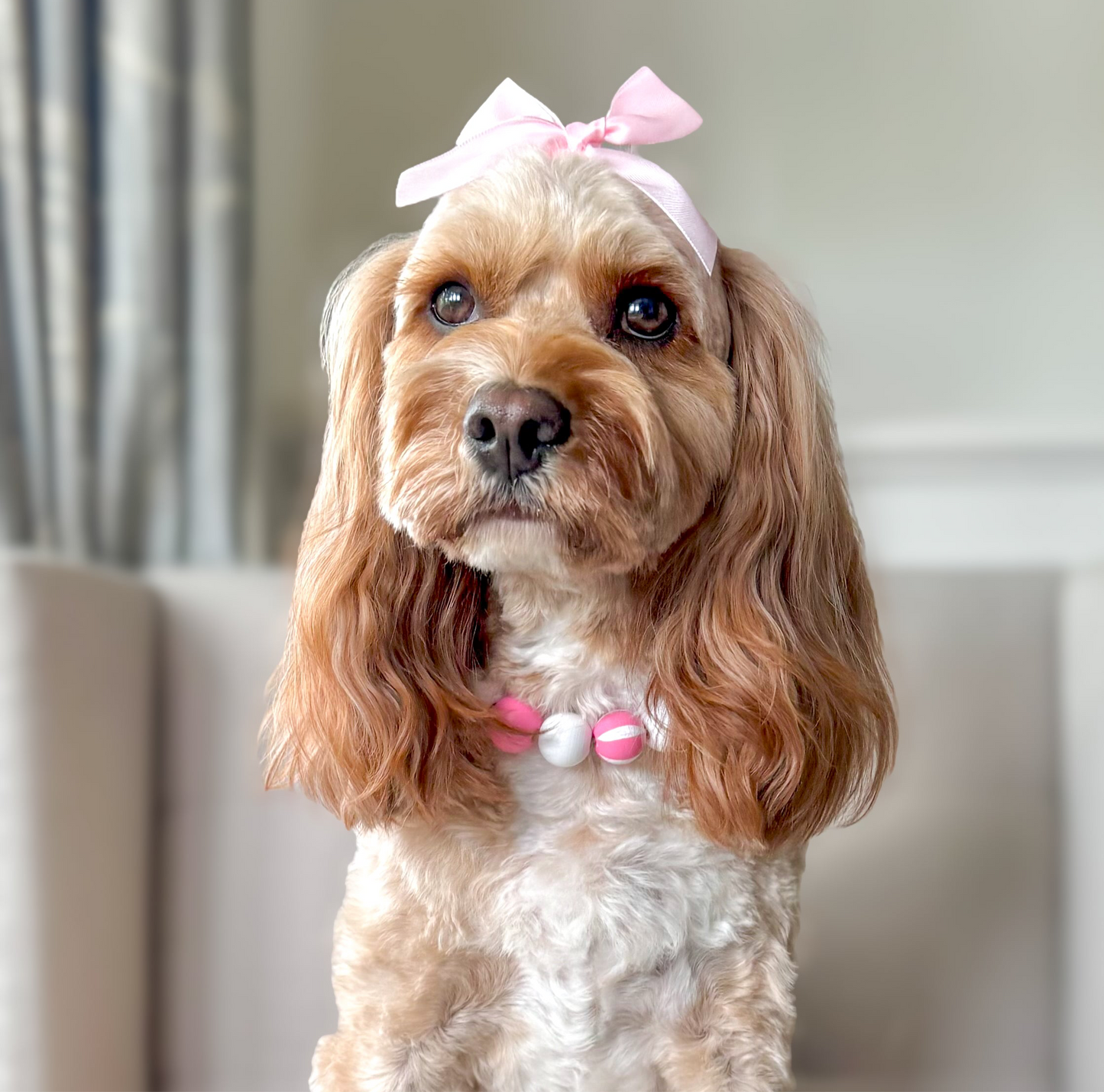 Bubblegum stripes dog collar necklace