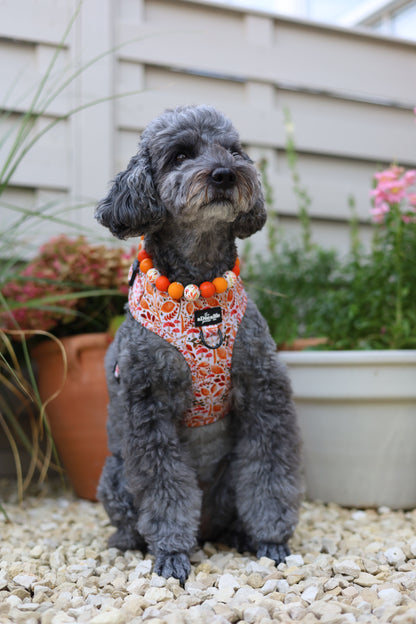 Autumnal garden autumn necklace collar