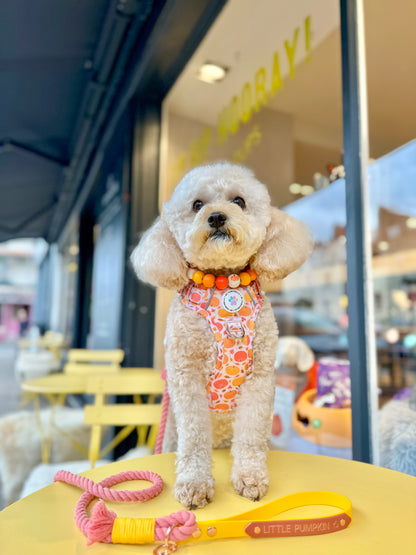 Pumpkin hues autumn necklace collar