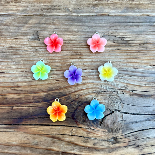 Fiji charms