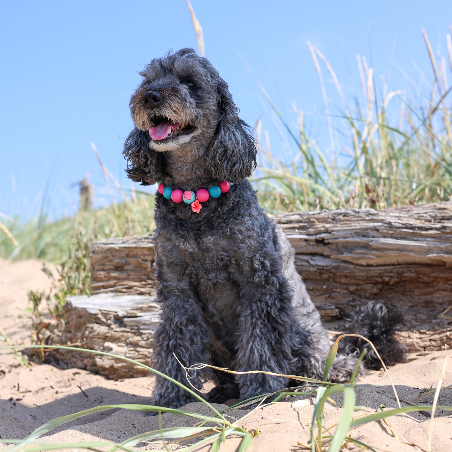 Fiji dog collar necklace