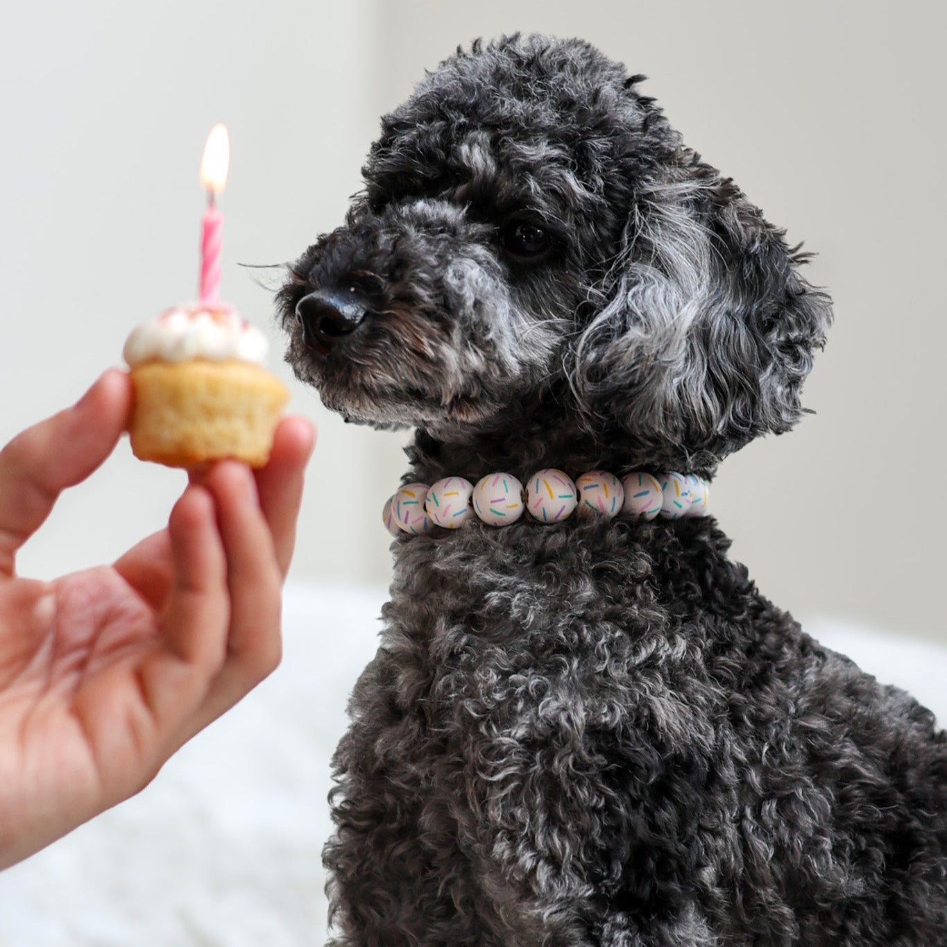 Happy Barkday birthday necklace